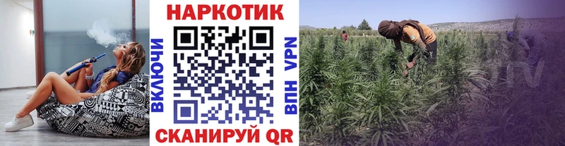 Где купить наркотики Тында Канабис  СК  Метадон  ГАШИШ 