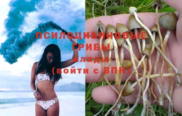 индика Инта