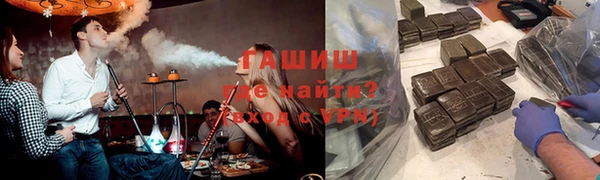 индика Инта