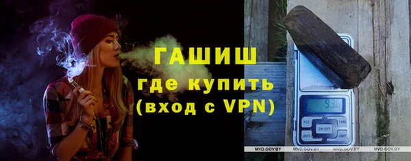 индика Инта