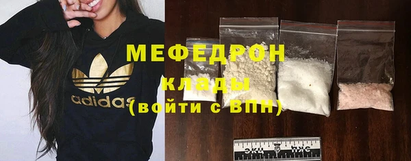 индика Инта