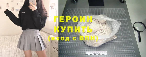 индика Инта