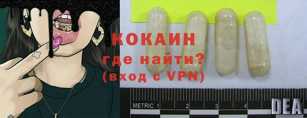 индика Инта