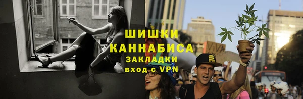индика Инта