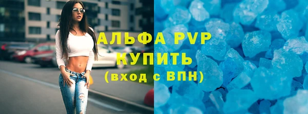 индика Инта