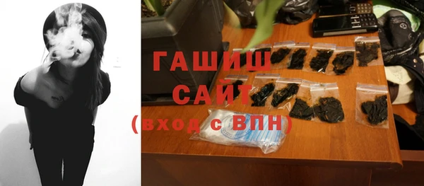 индика Инта