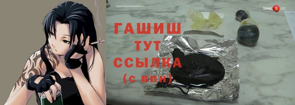 индика Инта