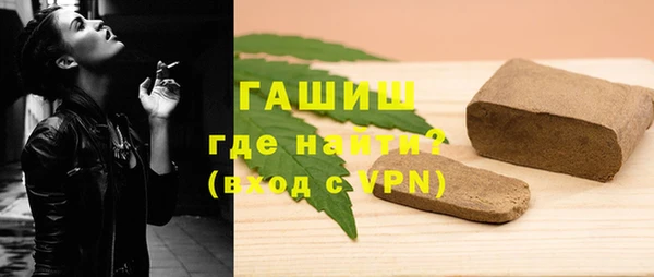 индика Инта