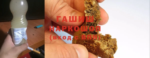 индика Инта