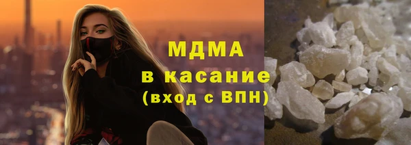 индика Инта