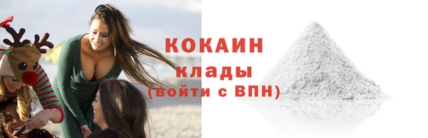 индика Инта
