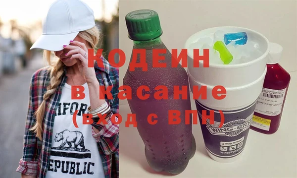 индика Инта