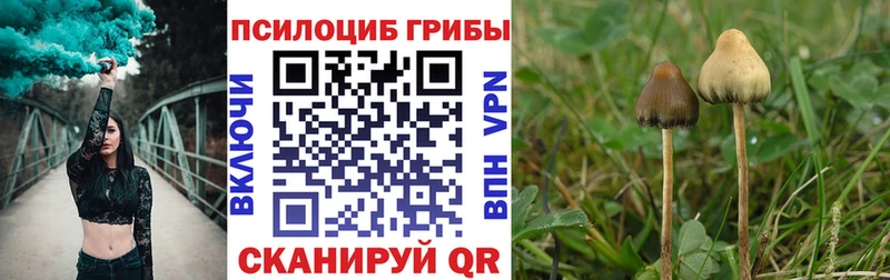 Галлюциногенные грибы ЛСД купить Тында