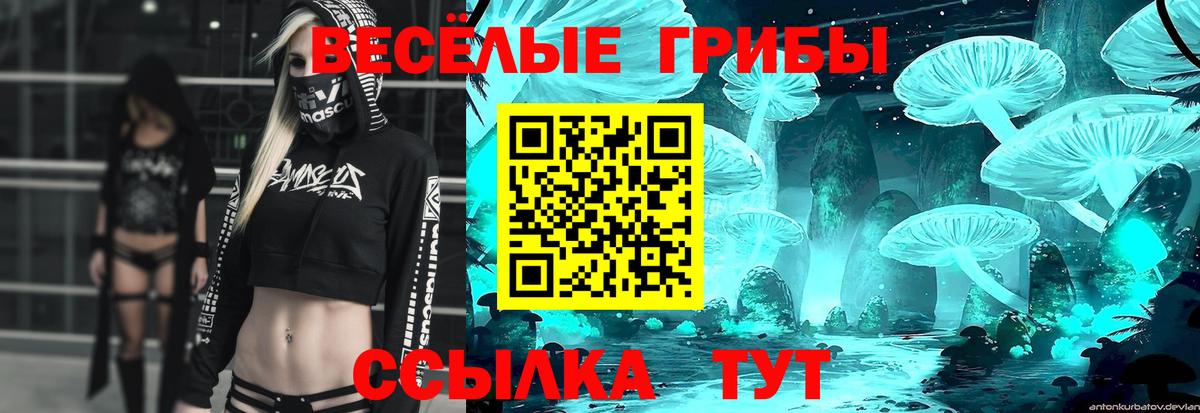 Тында  Галлюциногенные грибы Psilocybe  Вход с VPN 