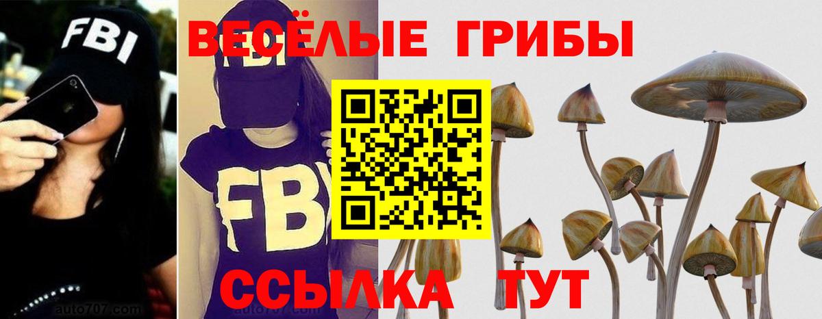Галлюциногенные грибы мухоморы Тында
