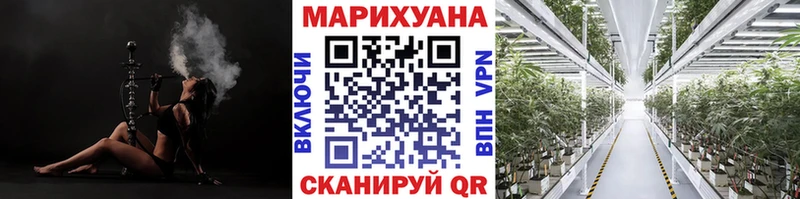 Шишки марихуана Ganja Тында